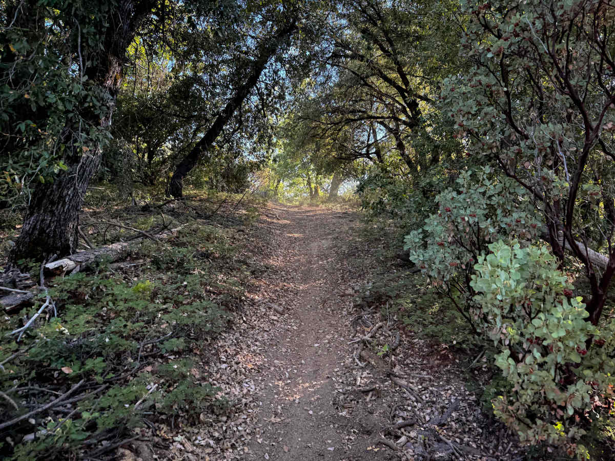 16EV136 photo 4