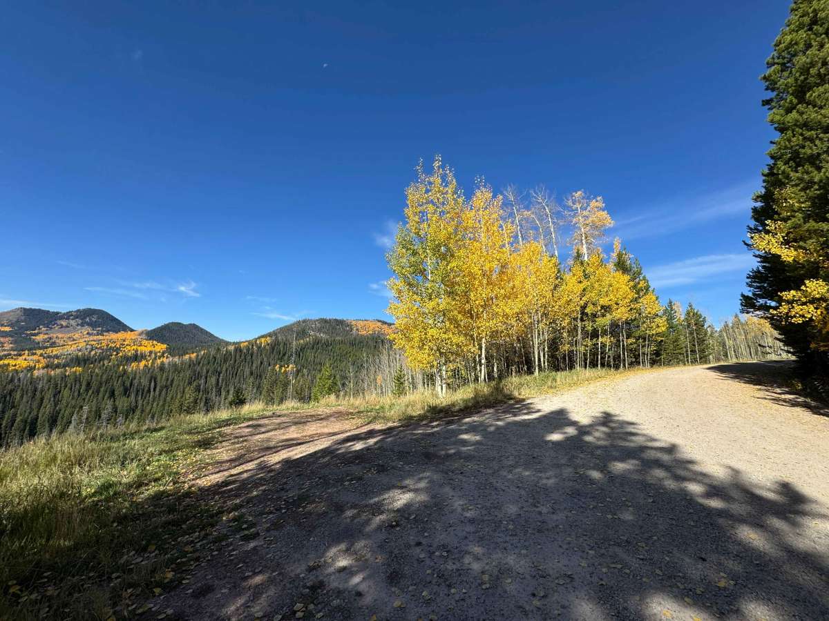 Iron Mountain Road photo 3