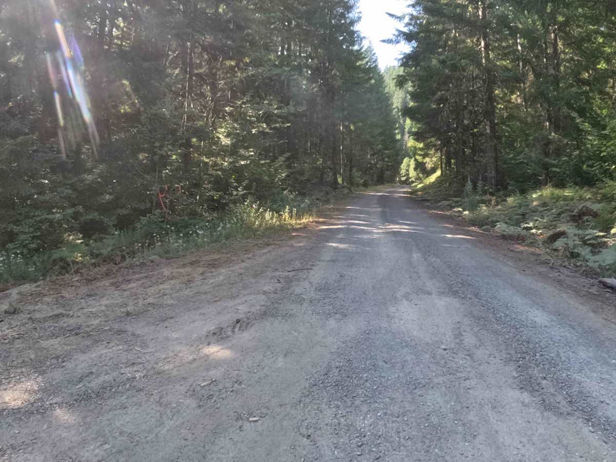 Parish Lake Road - FS 2266000 photo 2