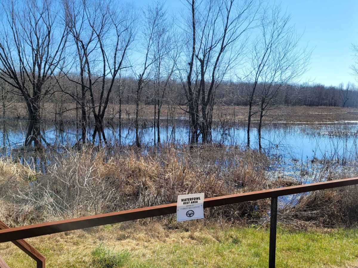 Boggy Creek Monster Trail photo 6