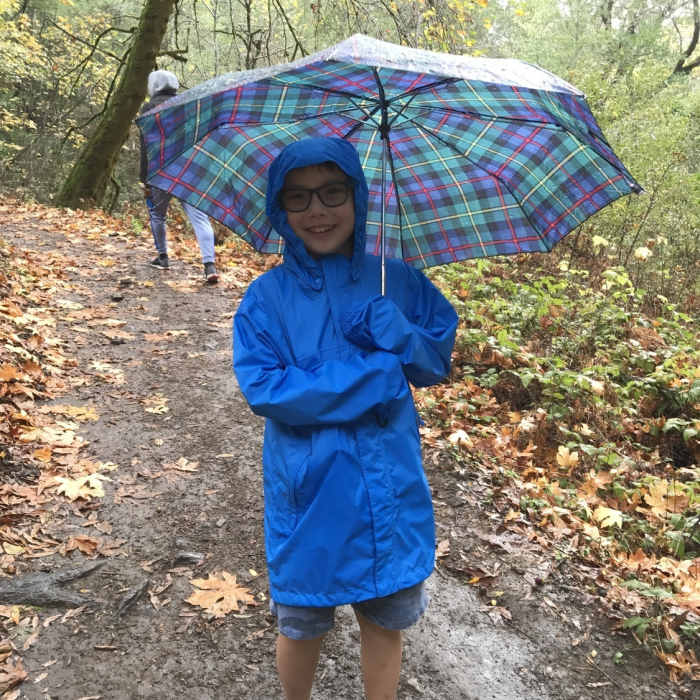 Near Hamms Gulch Trail