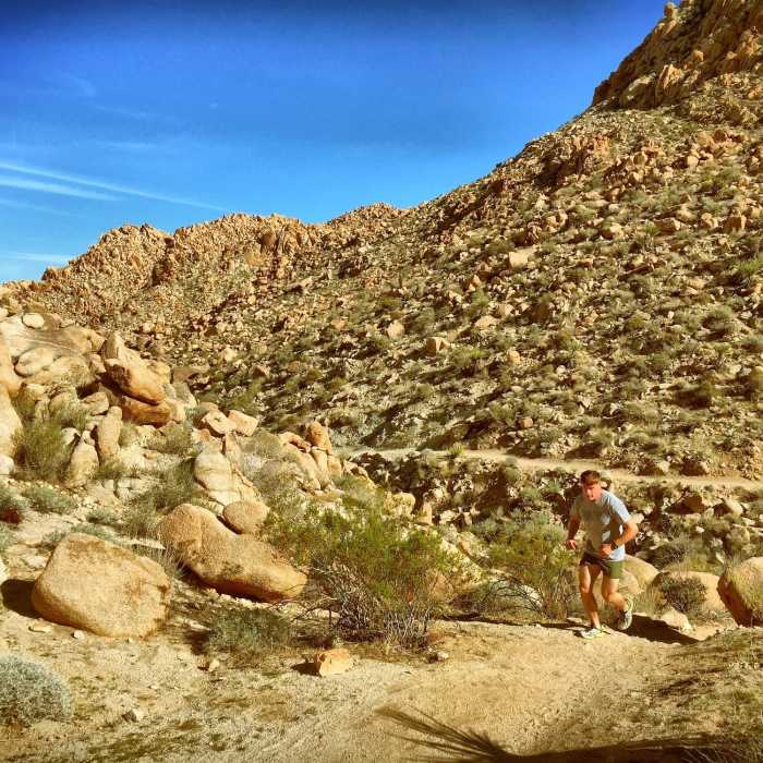 Near Boy Scout Trail