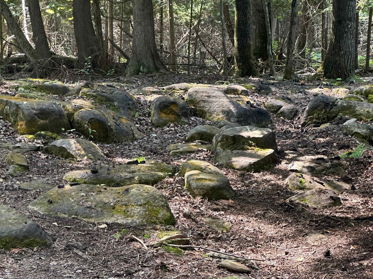 Less Traveled  photo 3