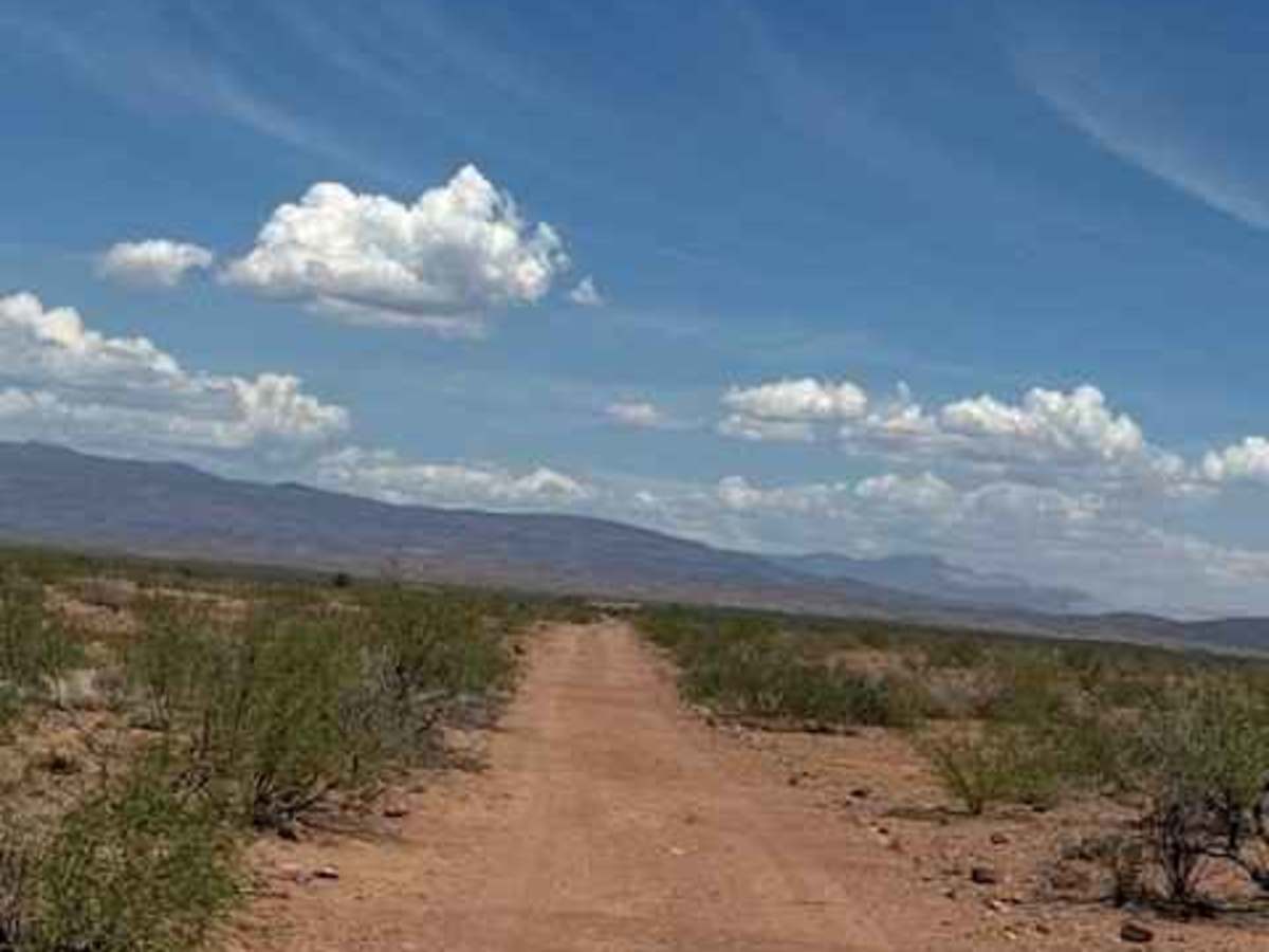 BLM PE1122 photo 2