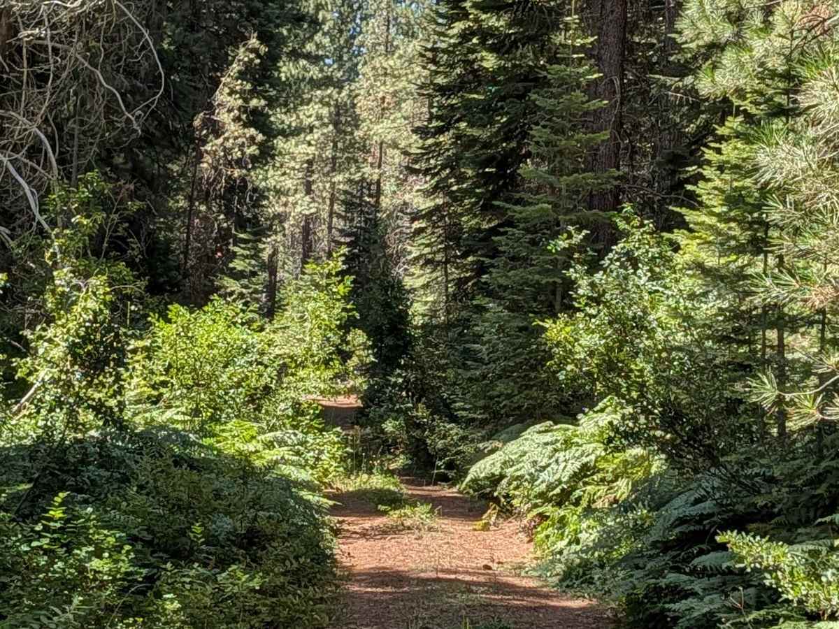 Cow Creek - FS 39N90 photo 3