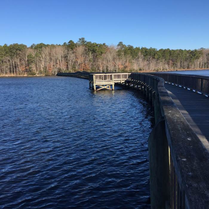 Dam #1 Bridges the Lee Hall Reservoir with access to Twin Forts Trail and White Oak Trail. Near Newport News Park Loop
