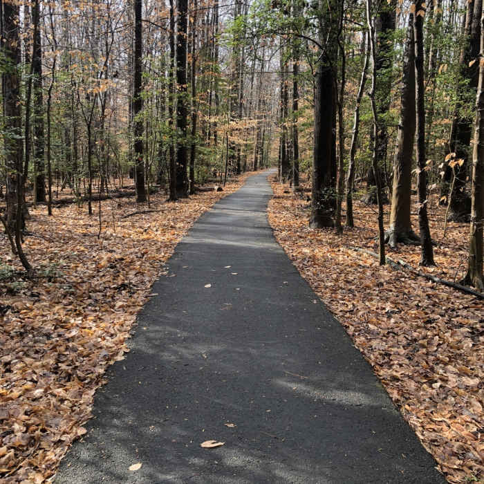 Near Great Marsh Trail