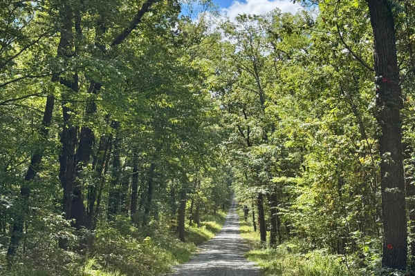 Bear Valley Road
