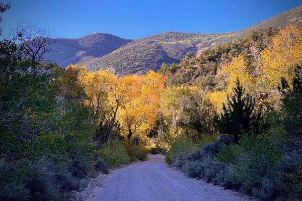 Snake Creek Road