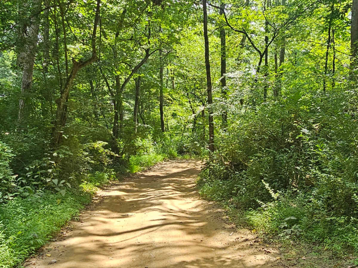 Trail 26 photo 4