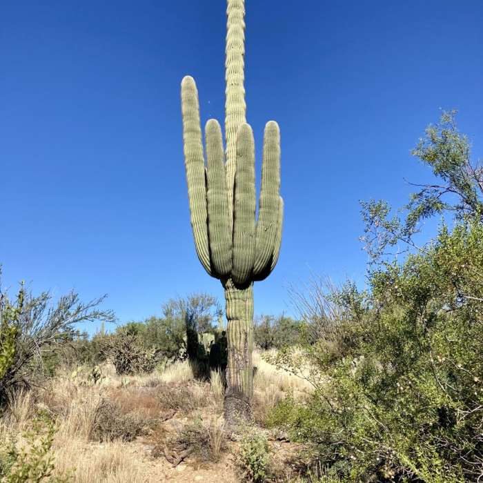 Near Freeman Homestead Trail