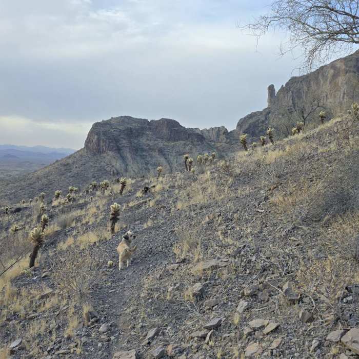 One of the many views along the trail. Near Saddleback Mountain Backside