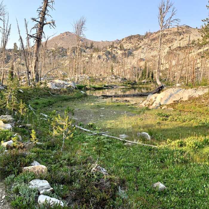 Near Iron Creek - Stanley Lake Loop