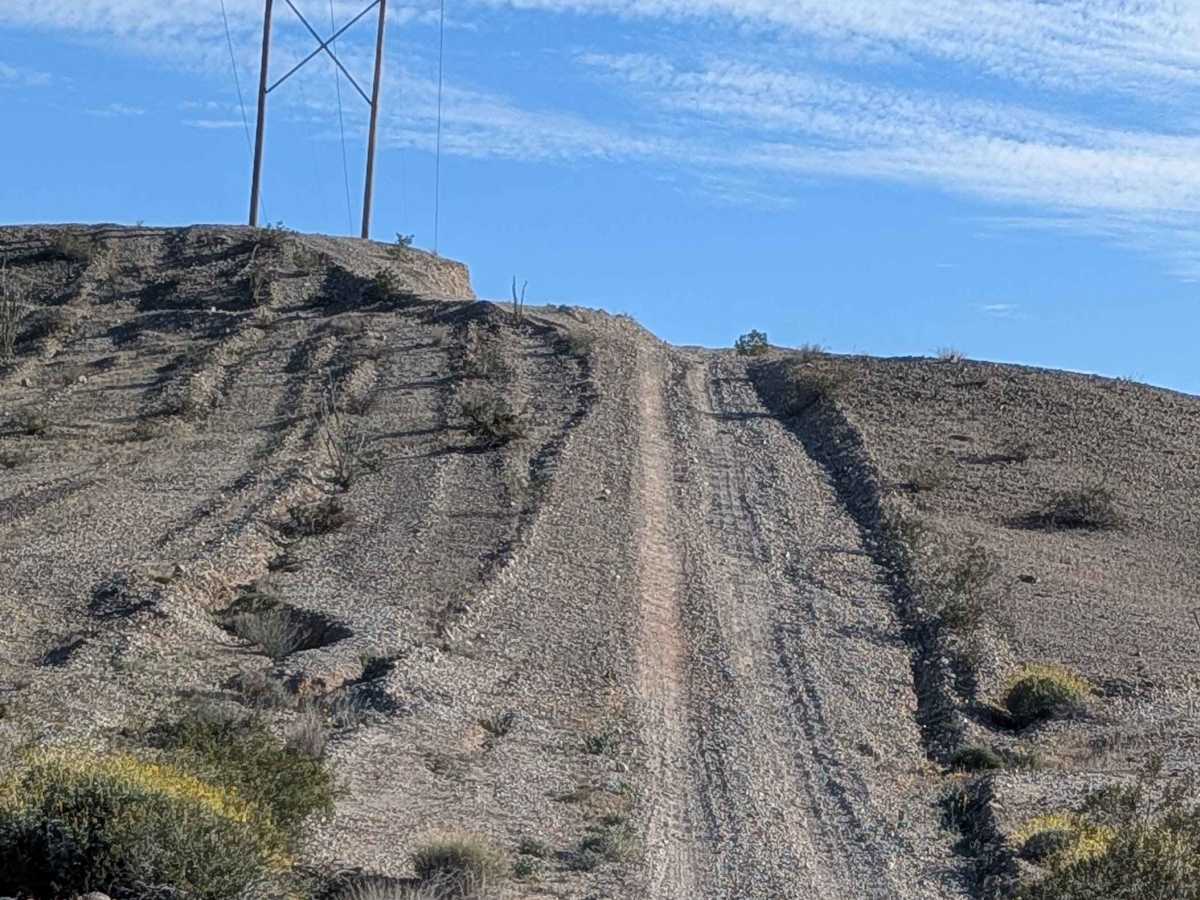 BLM 592 photo 2