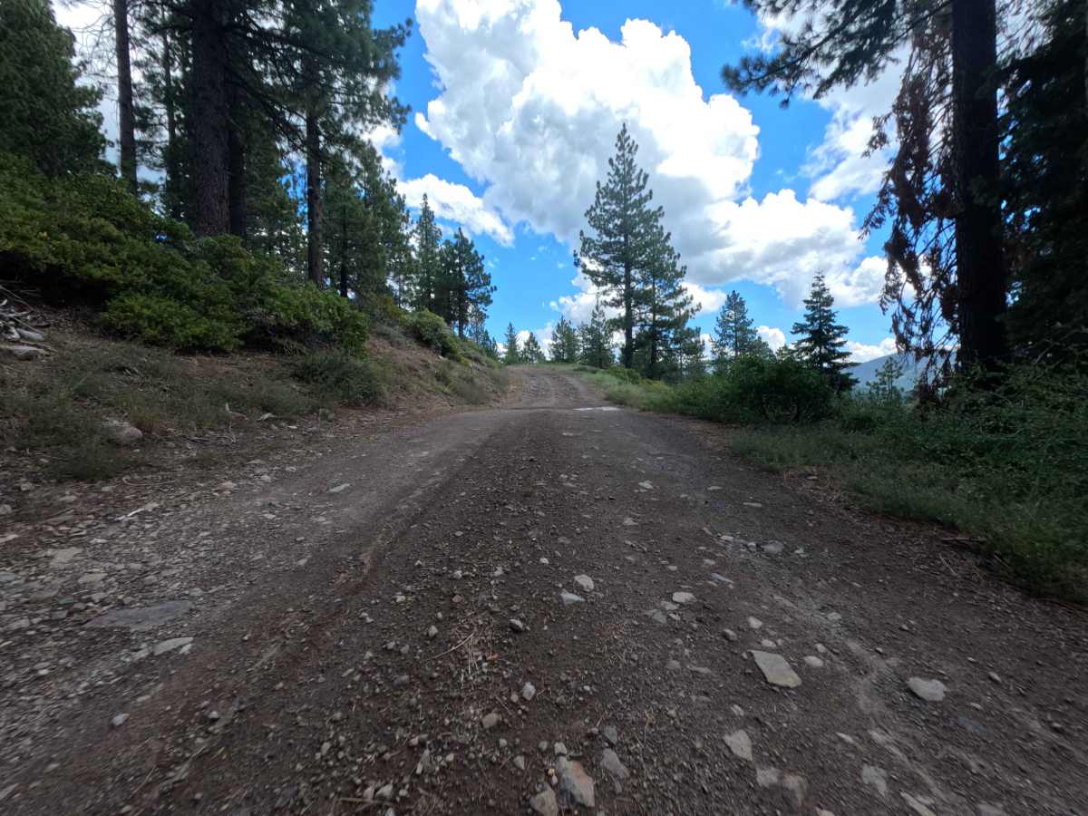 Pole Creek Spur - FS 5708-004 photo 6