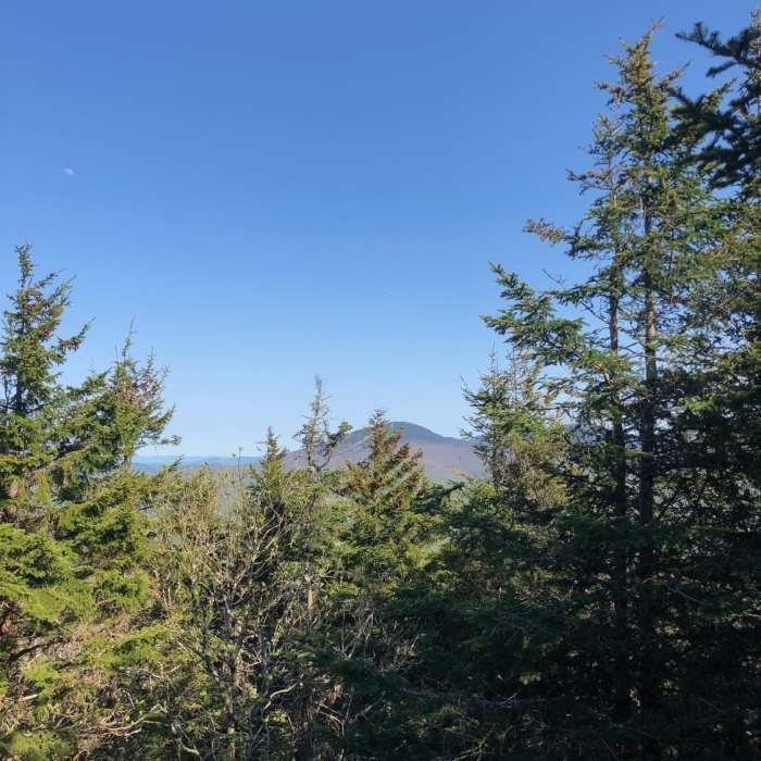 View from the summit of Blue Ridge Mountain. Near Canty Trail