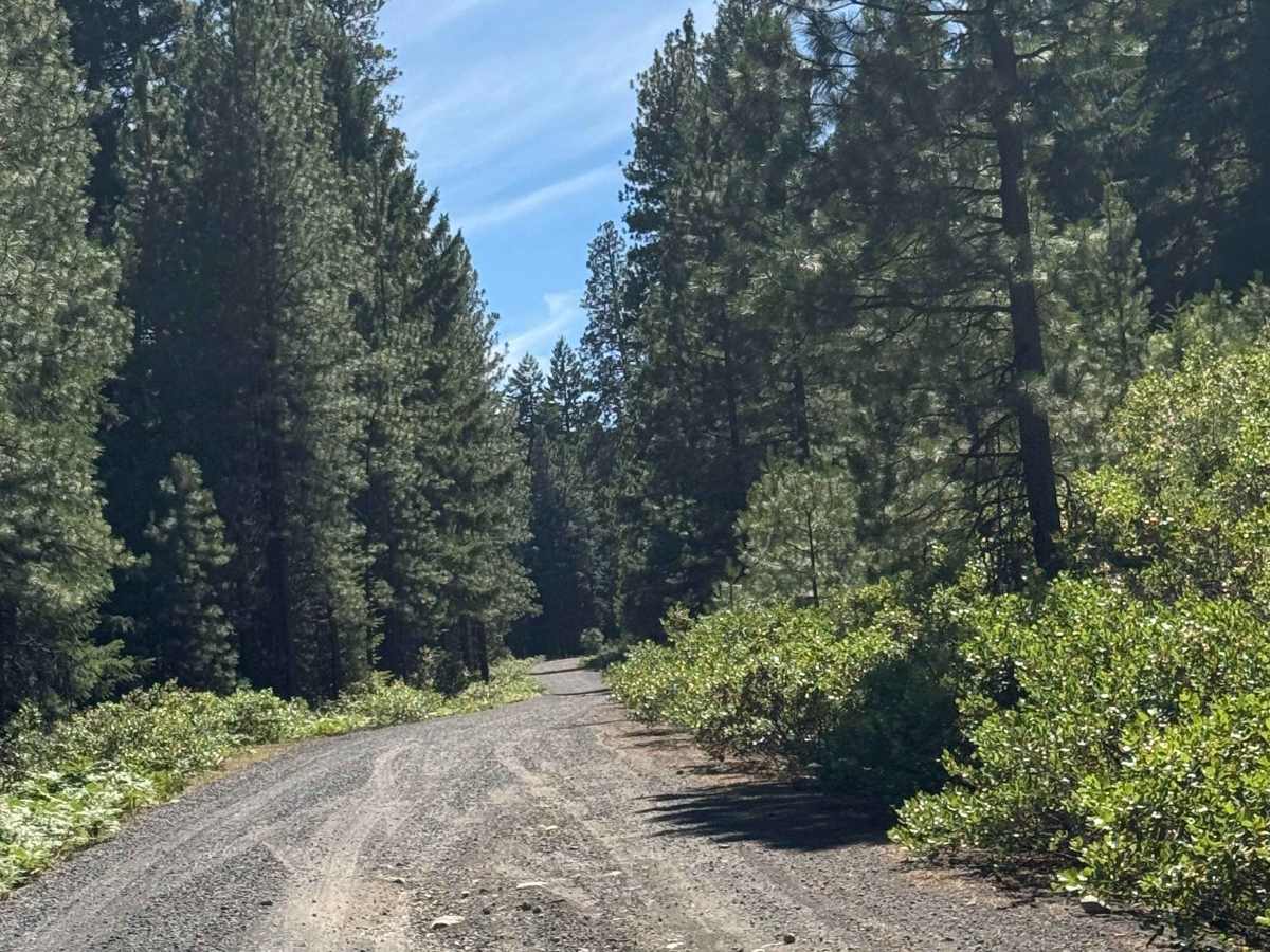 Suttle Lake South - FS 2066 photo 6