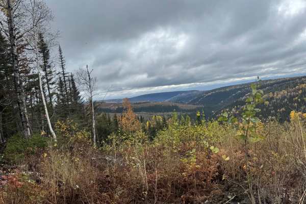 Bonaventure’s Backcountry Trail