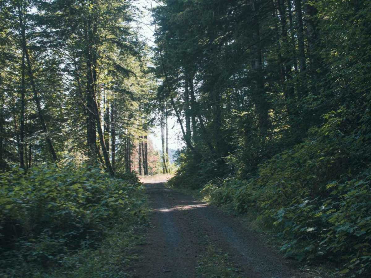1000 Line trail photo