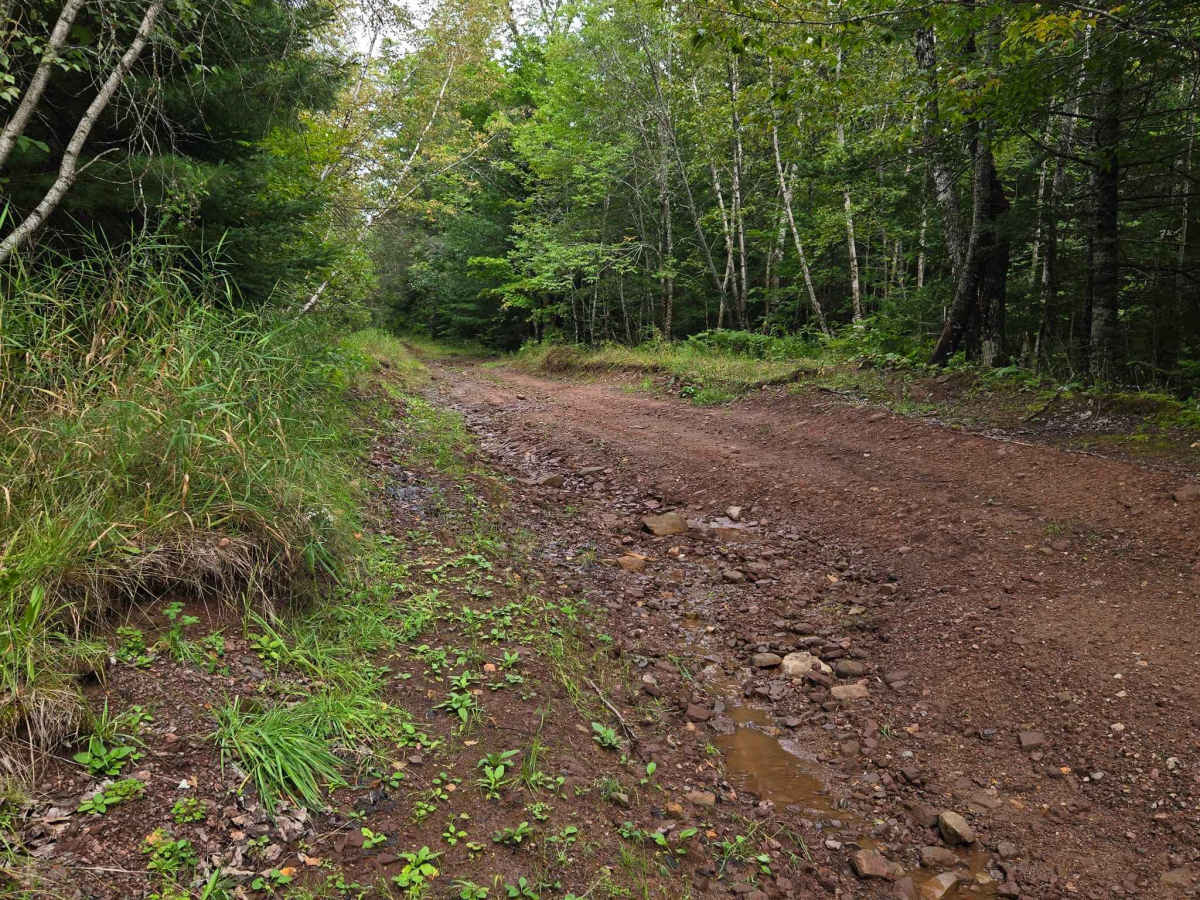 Shaw Road trail photo