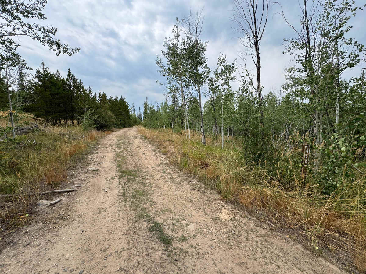 Upper Mill Creek Road - FS 468 photo 2