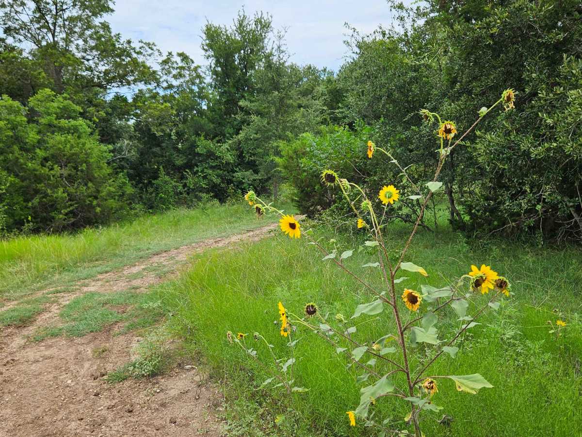 Buffalo Gap Run photo 5
