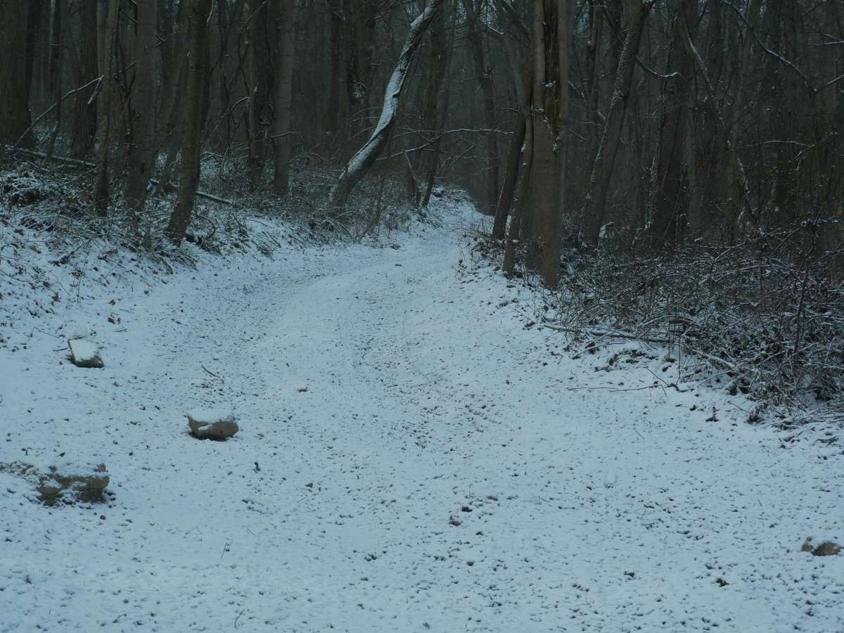 Trail 21 photo 5