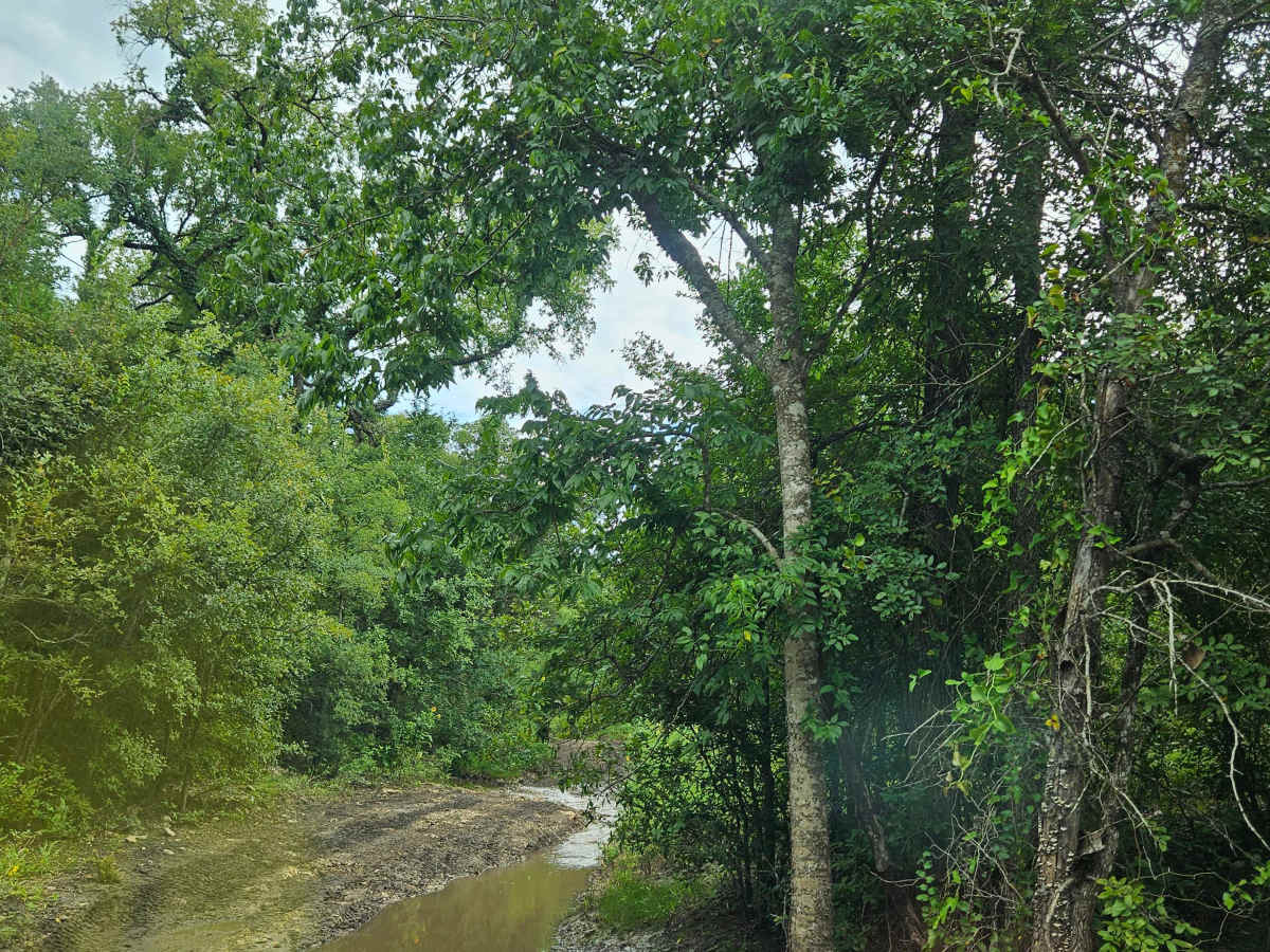Captain Call Creek photo 6