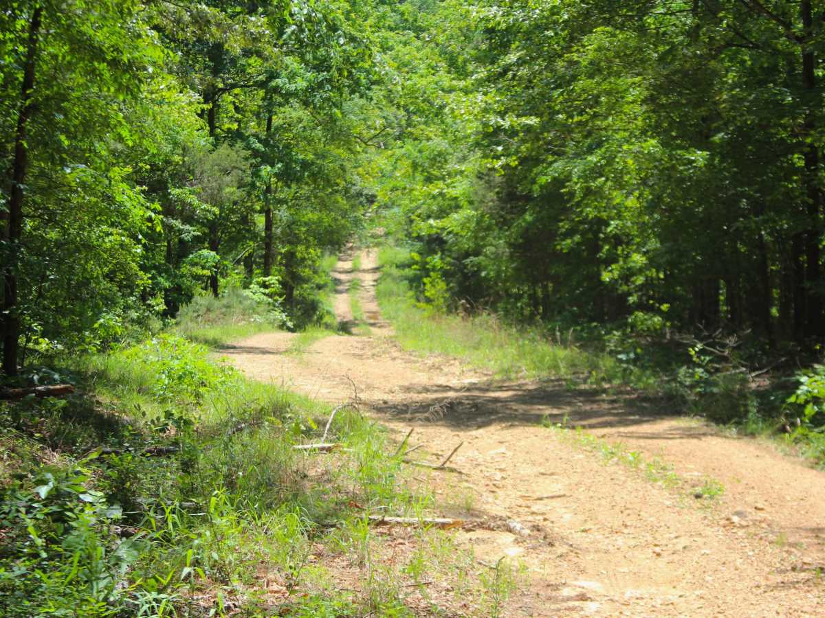 Shiloh School - FS 3114 trail photo