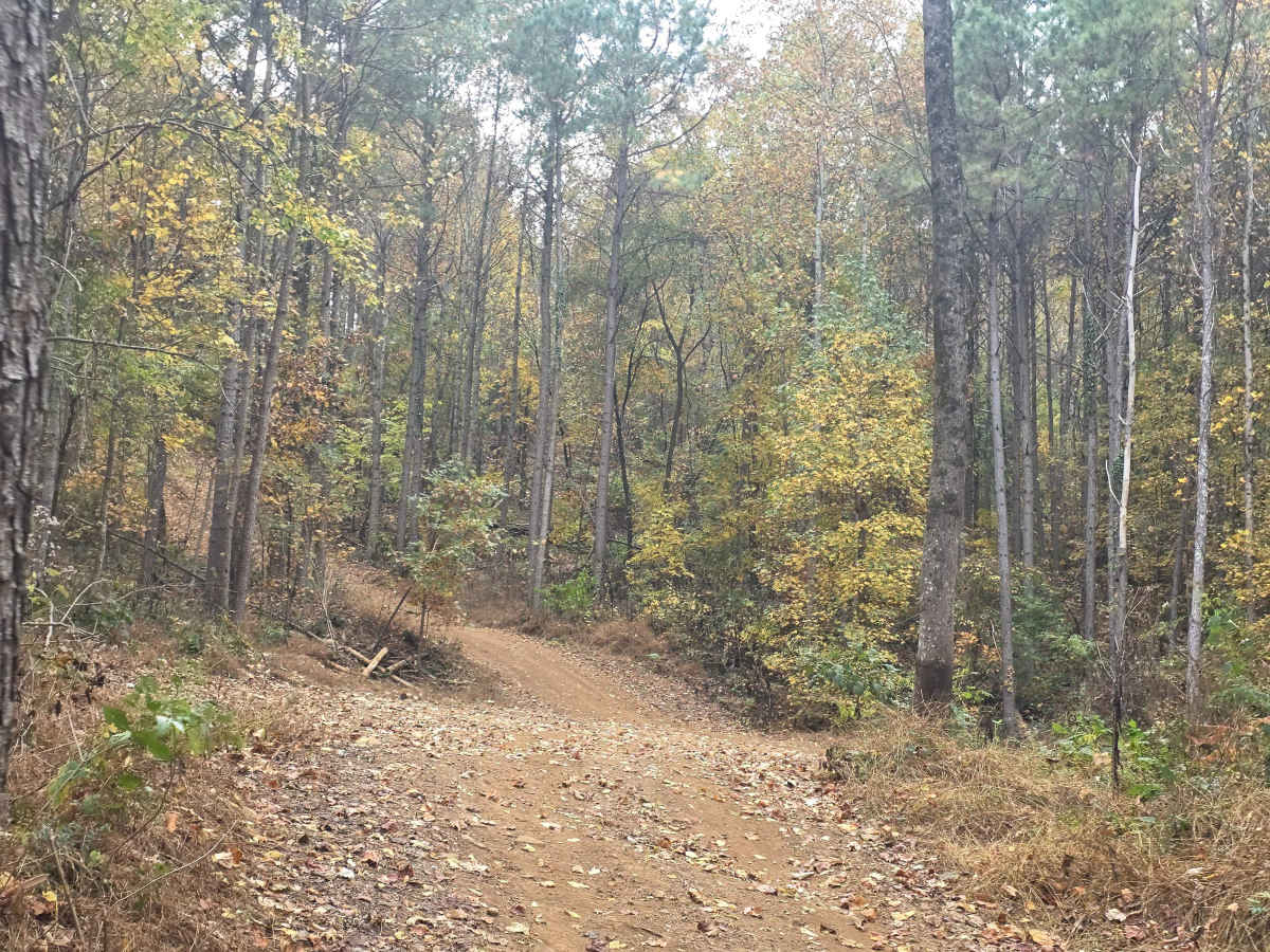 Send It Hollow photo 3