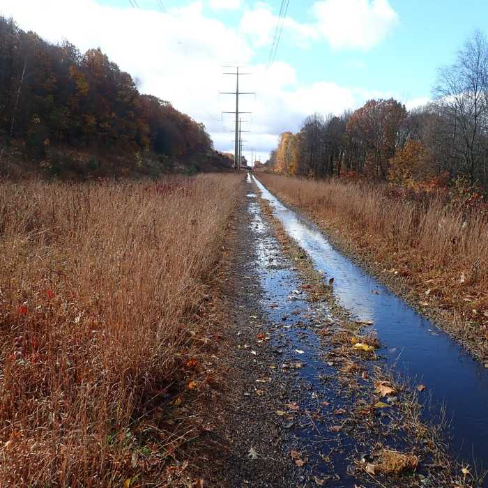Near Shawangunk Ridge Trail: Graham Mountain Section Near Shawangunk Ridge Trail: Graham Mountain Section