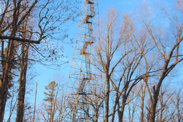 Blue Buck Tower - FS 121