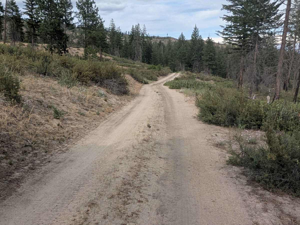 South Cook Mountain photo 3
