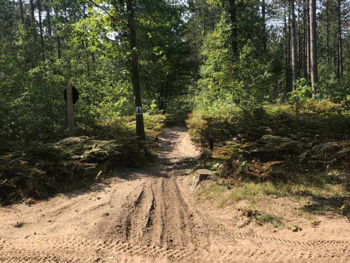 East Missaukee Trail Loop photo 2