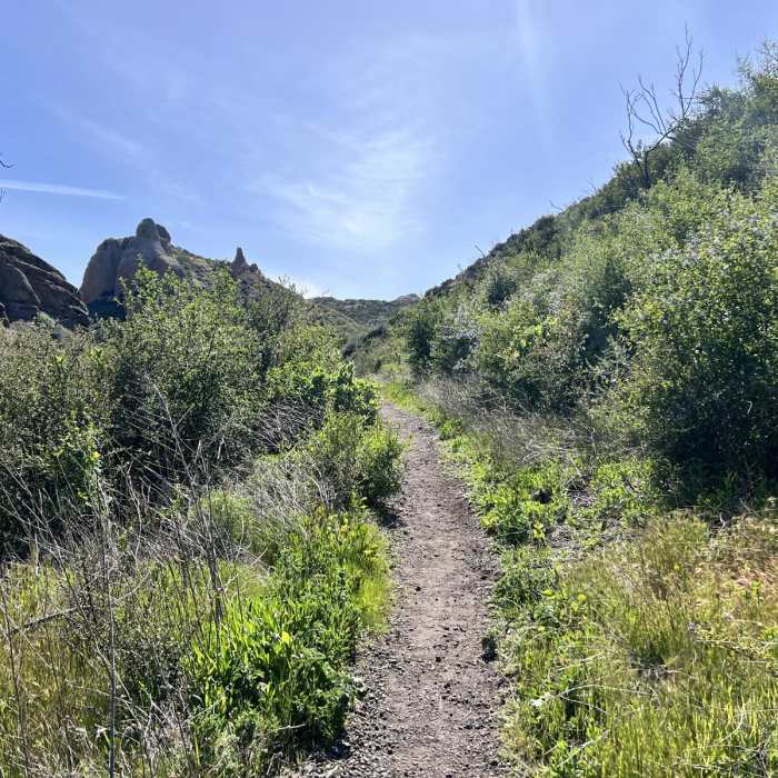 Near Mishe Mokwa to Ray Miller