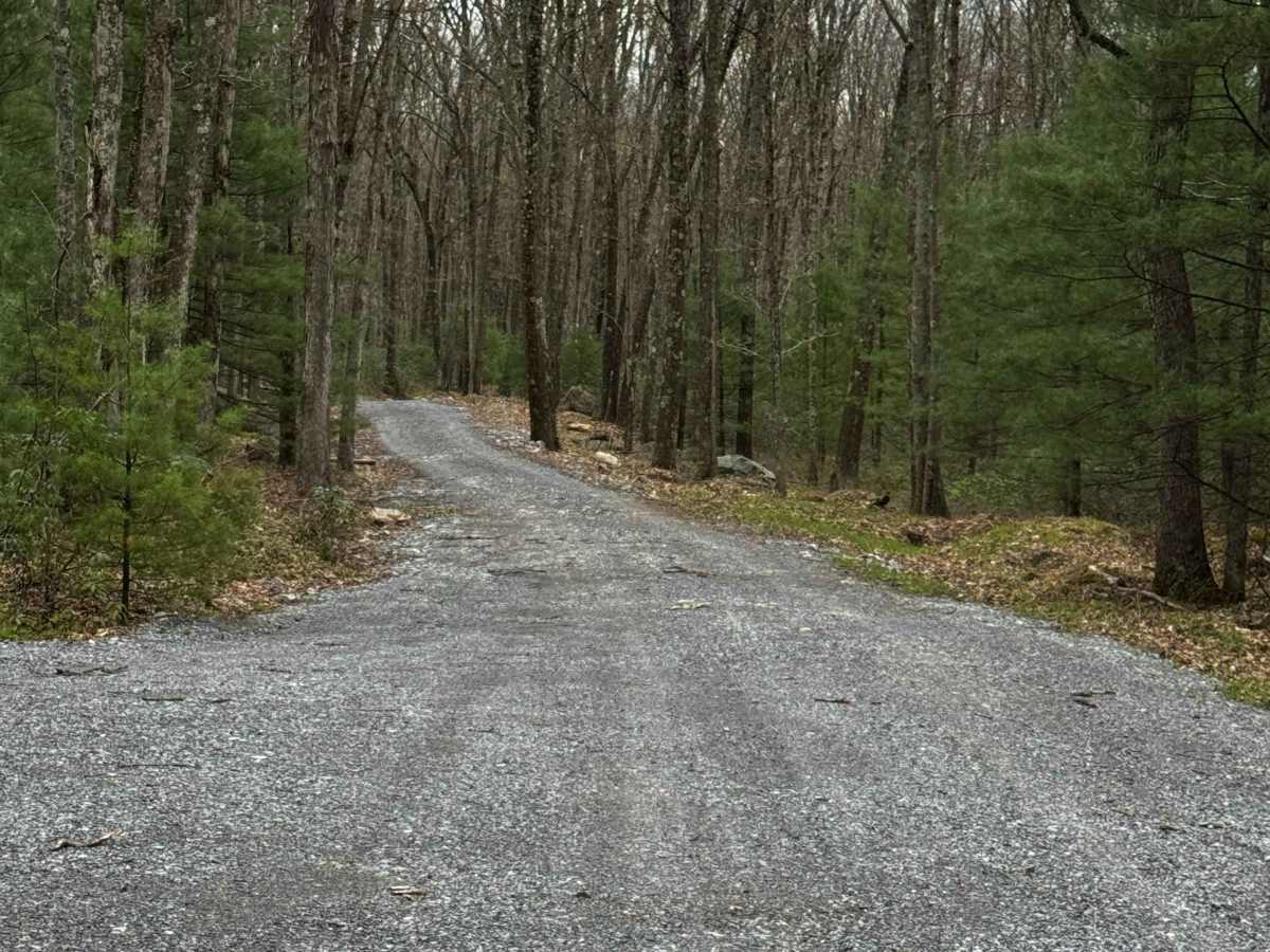 Wildcat Trail photo 3