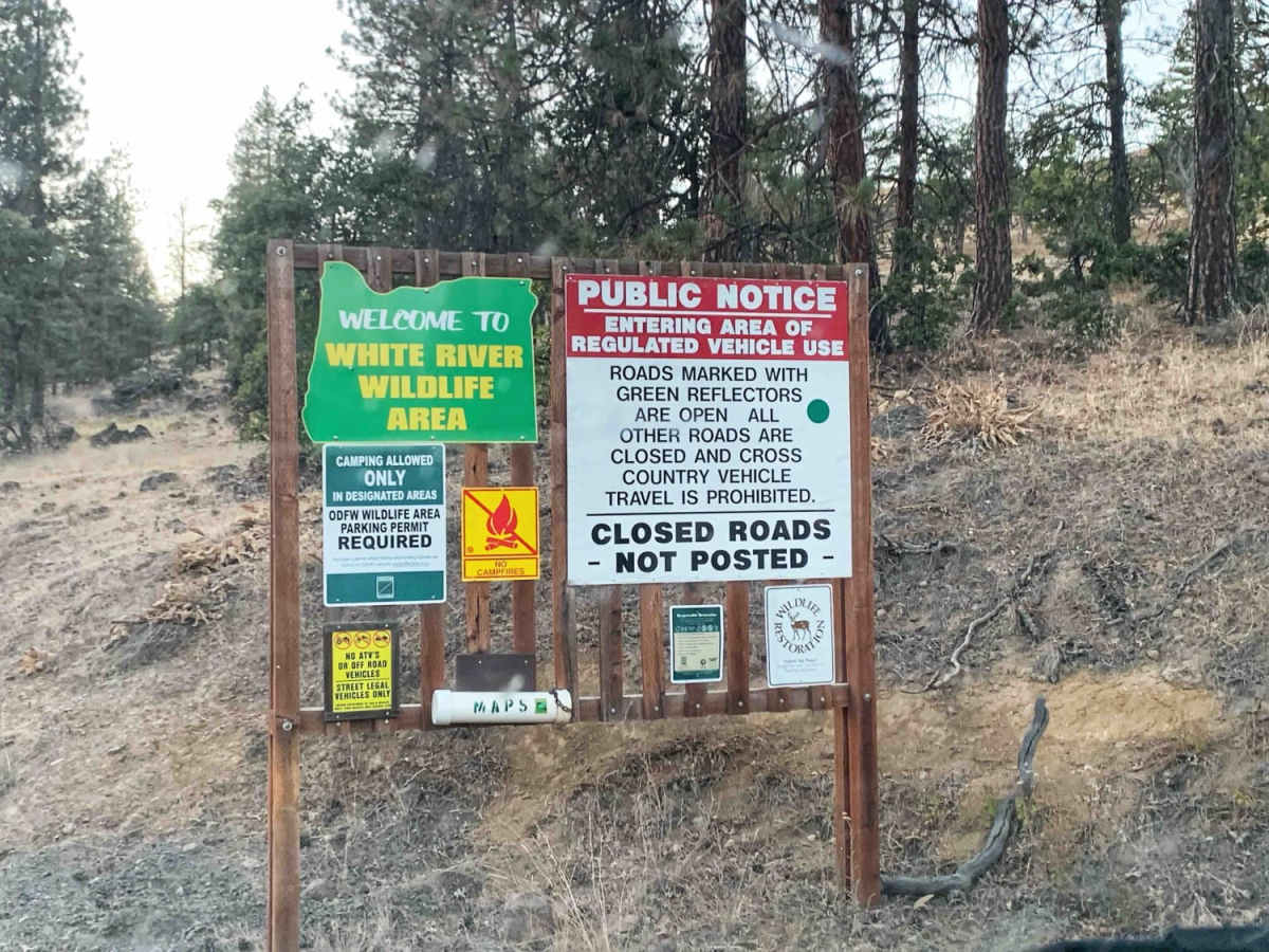 Little Badger Creek trail photo