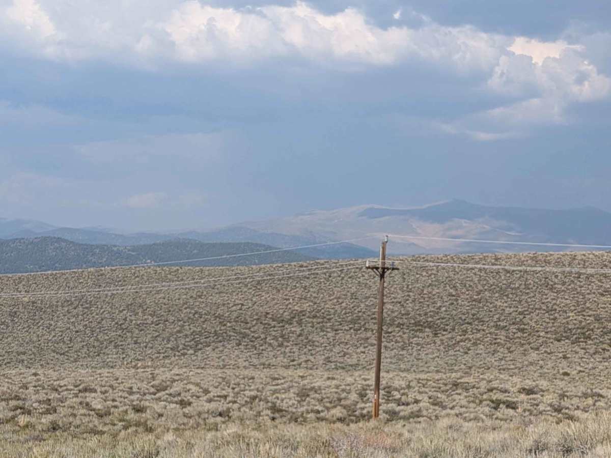 Pole Line Cutoff  photo 6