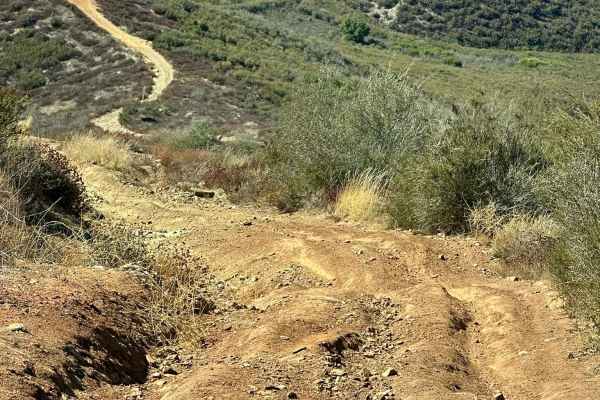 Deer Trail