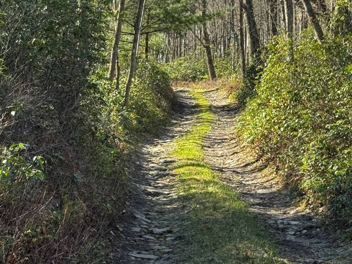 Dishpan Hollow Road photo 4
