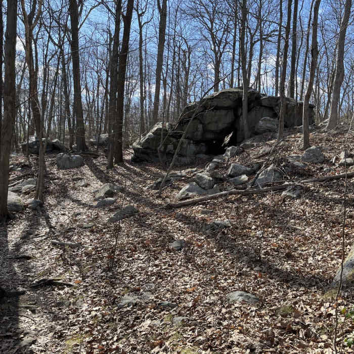 Near Silas Condict Loop Near Silas Condict Loop