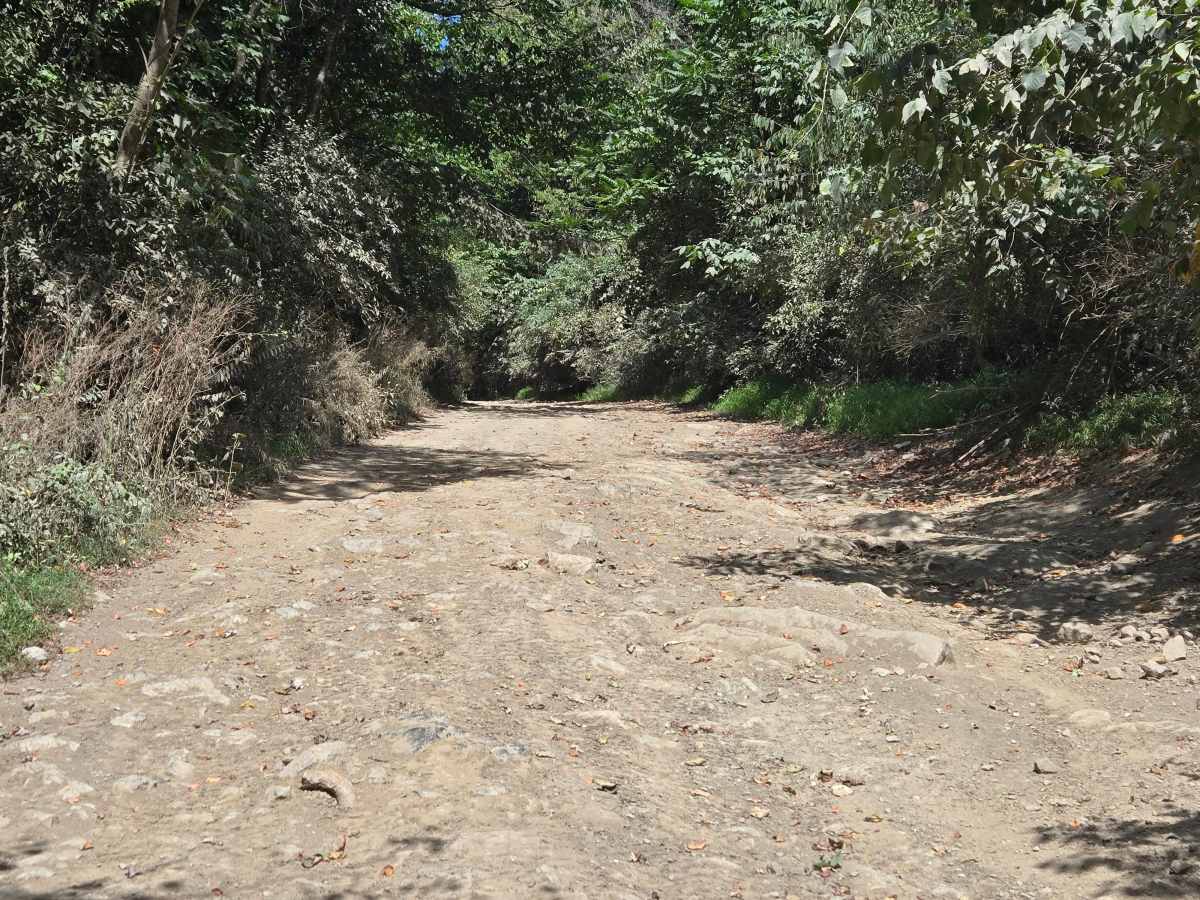 Trail 2 photo 2