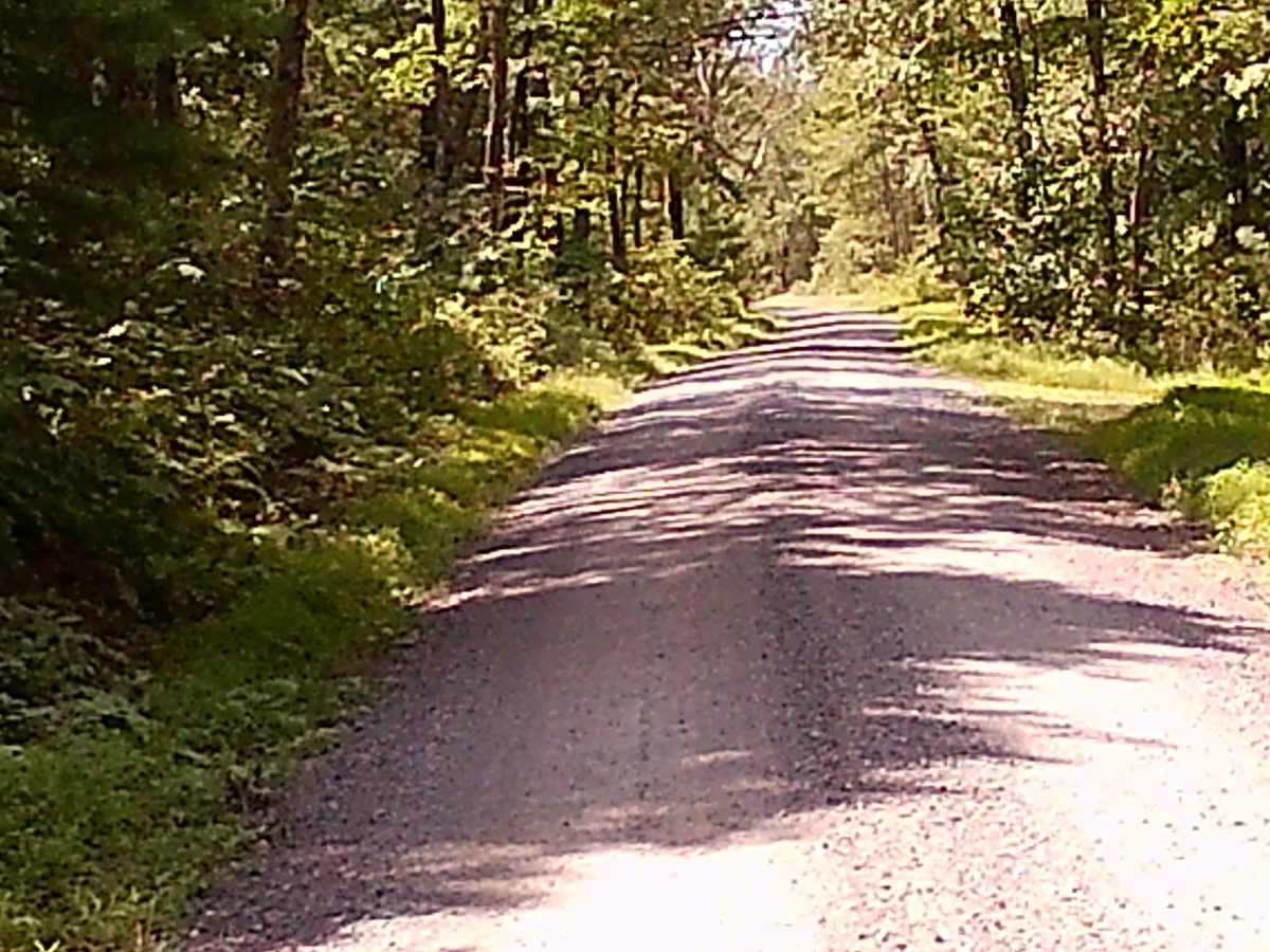Stover Gap Road photo 5