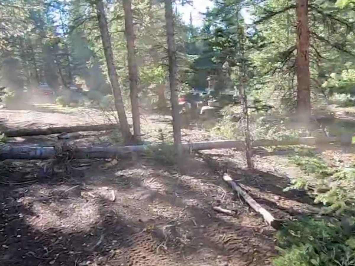 Pacer Lake ATV Trail - 34004 photo 5