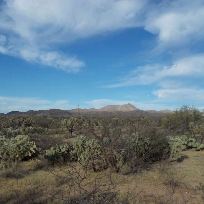 Near Honeybee Canyon Loop