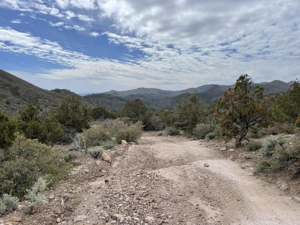 East Fork of Beaver Dam Wash photo 2