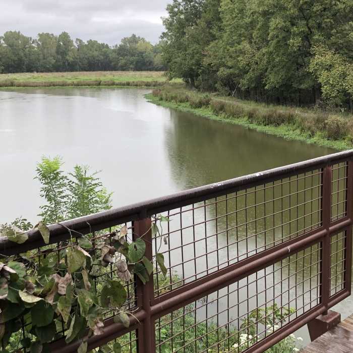 Near Herb Beattie Trail