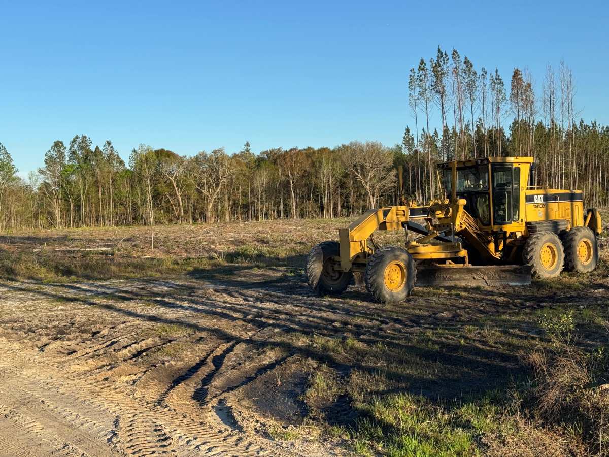 Sawgrass Road photo 3