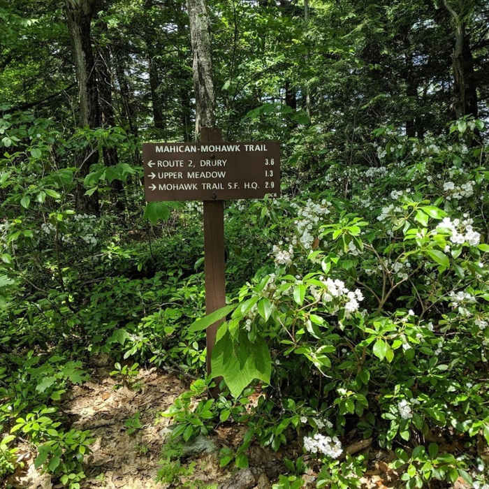 Trail junction Near Mohawk Trail Loop