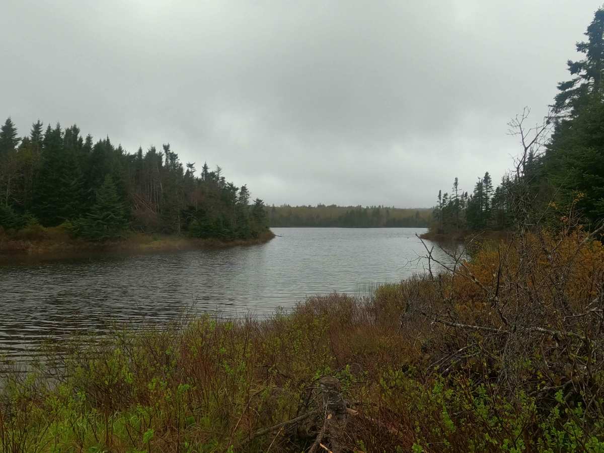 Farm Lake Trail photo 2